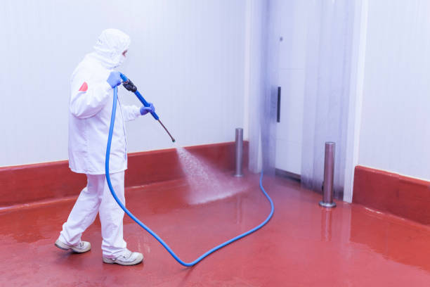 Leesport, PA Pressure Washing Services Company